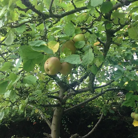 Place2beach-bungalow *