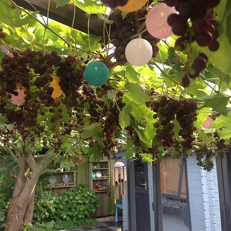 Place2beach-bungalow بيت للعطل