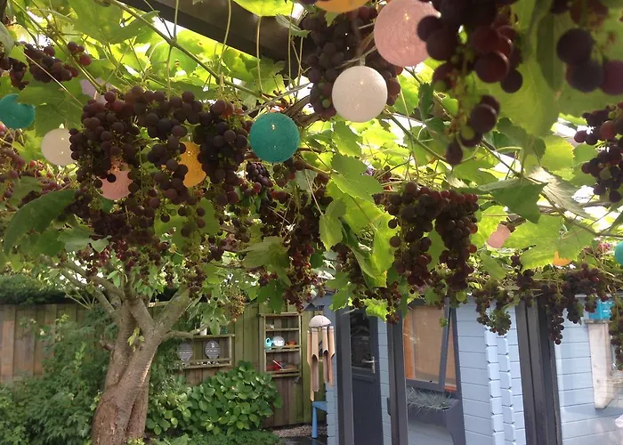 Place2beach-bungalow بيت للعطل