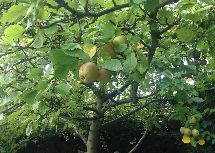 Place2beach-bungalow *